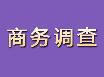 武陟商务调查