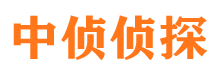 武陟市调查公司